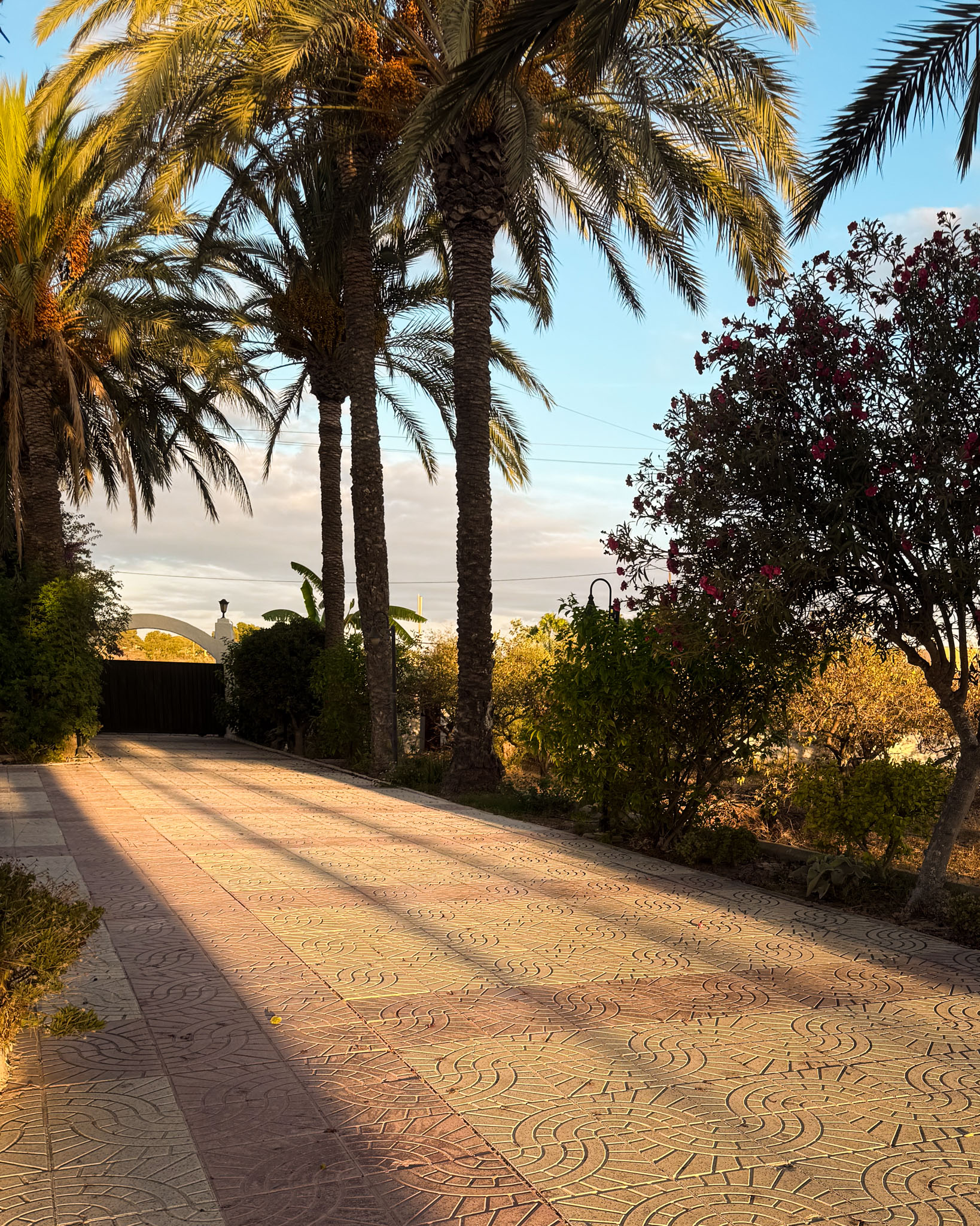 health-power-mjolby-traningsresa-alicante-5